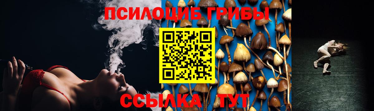 Псилоцибиновые грибы MAGIC MUSHROOMS  Вход с VPN  Лесосибирск 